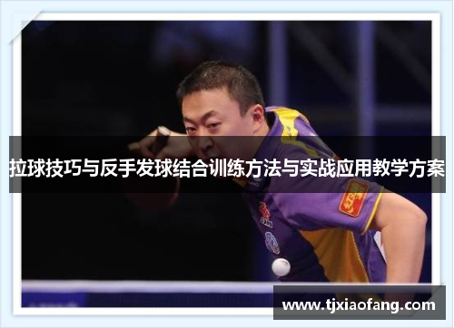 拉球技巧与反手发球结合训练方法与实战应用教学方案