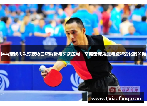 乒乓球砍树发球技巧口诀解析与实战应用，掌握击球角度与旋转变化的关键