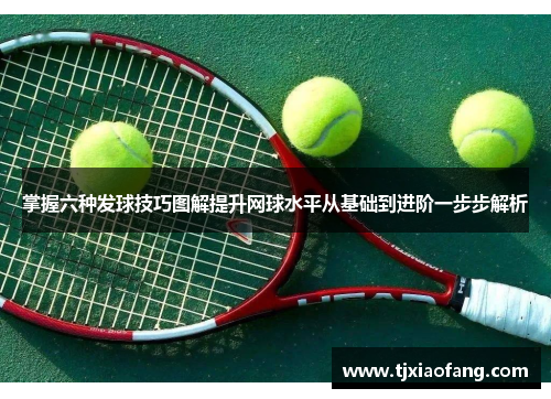 掌握六种发球技巧图解提升网球水平从基础到进阶一步步解析
