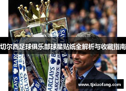 切尔西足球俱乐部球星贴纸全解析与收藏指南